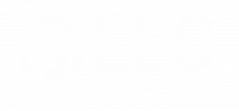 LeoElectronics